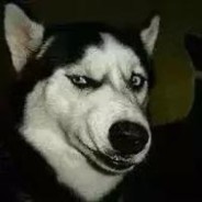 白洋淀黑势力丶