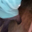 ZedKo