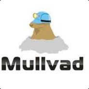 ^1Mullvad