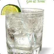 GinTonic - steam id 76561197964529912