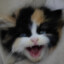 TheKee -