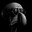 Xx_M1Gthy414_xX