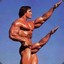 Arnold Biceps