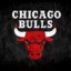 Chicago bulls