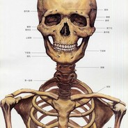 脑汤平台st、ea、m