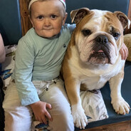 HasBulldog