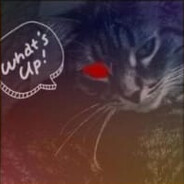 cAT miBor