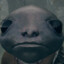 sappygham