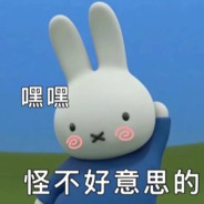 不会开枪的苏打饼干