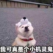 不知妻美刘强东