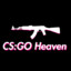 CsGoSmurf_14