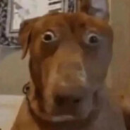 把我骂回去学习