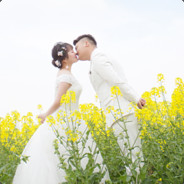 来自太阳的快递