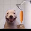 Porky