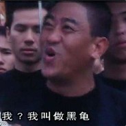 从今天起当一个分奴