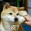 HuskyKELE