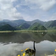 猪头身体无羊心