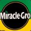 Miracle_Gro