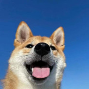 跟着茄子学打狙