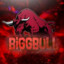 BiggBull