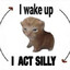 wait.... i am silly
