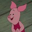 piglet