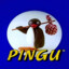 Pingu ®