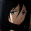 Mikasa