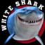 White_Shark