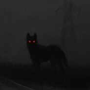 sek1 Steam avatar