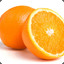 Zesty Orange