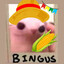 Bingus