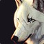 Lost_wolf678
