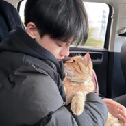 把大山里的孩子送回深山