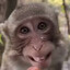 Smiley Lil Monkey