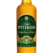 Sir Pitterson - steam id 76561199102456353