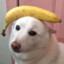 KiSuquinho