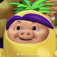 卡塞尔留学生菠萝吹猪