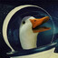 Space_ducky