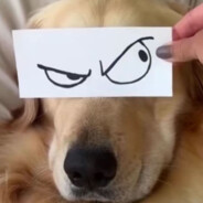zeroo