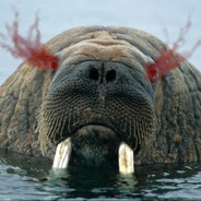 Walrus Berserker