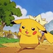 别拽我的小尾巴