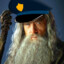 Gandalf the Wizard Cop