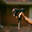 DivorcedSingleDad_TTV