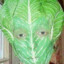 THE MAN OF CABBAGE