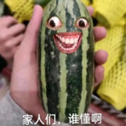 家人们，谁懂啊