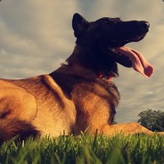 Sitingbulz Gamdom.com