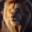 MUFASA