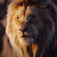 MUFASA