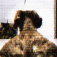 Avatar snapshot